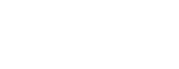 Niche Logo